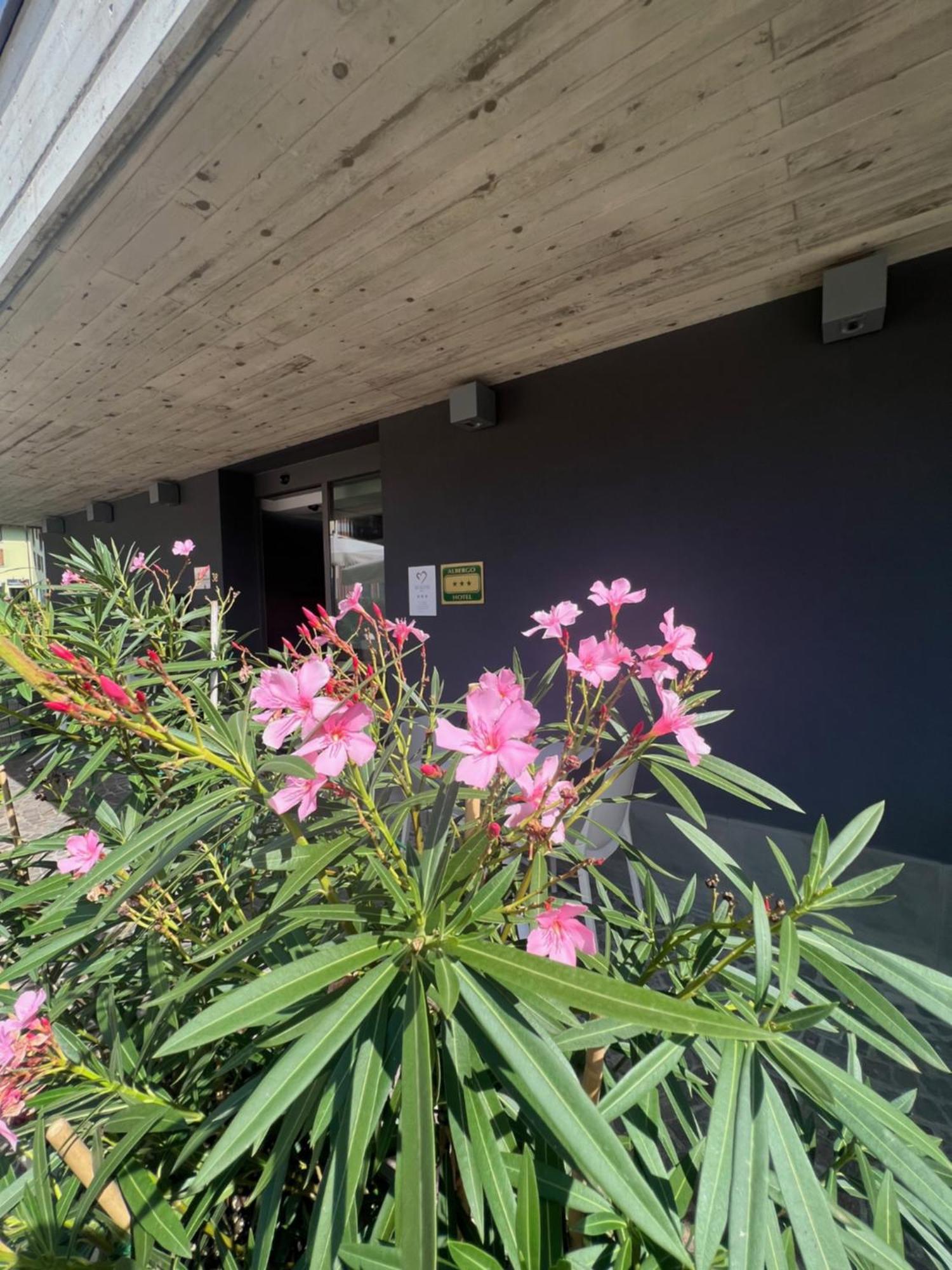 San Valentino Hotel Villa di Serio Bagian luar foto